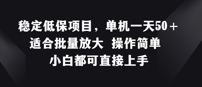 揭秘：稳定低保项目，单机日赚50+，操作简单易上手，适合批量放大-小伟资源网