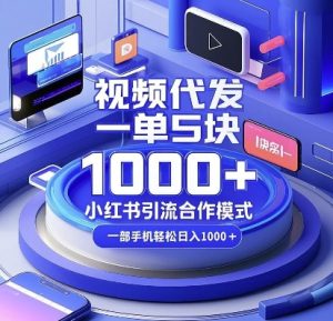 揭秘小红书视频代发合作模式:一单5元,手机操作轻松日赚多张-小伟资源网