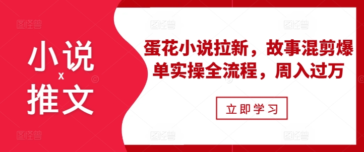 蛋花小说拉新实操：故事混剪爆单全流程，周入过万秘籍大揭秘-小伟资源网
