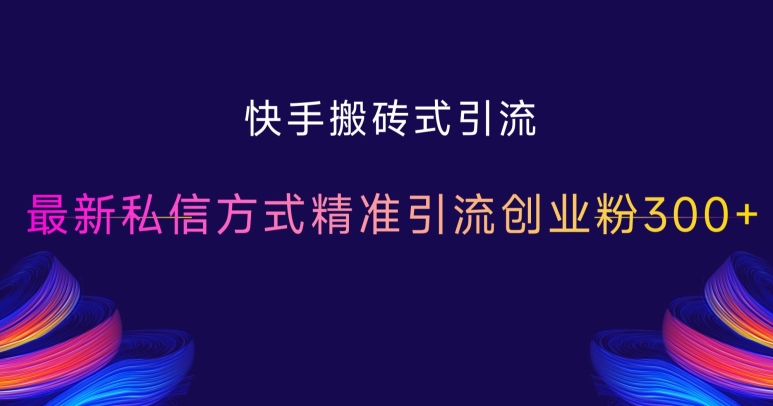 快手私信精准引流新策略，日增300+创业粉实战技巧-小伟资源网