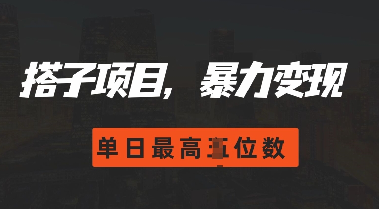 2024年零门槛搭子玩法揭秘：单日收入轻松破千，暴力变现新策略-小伟资源网