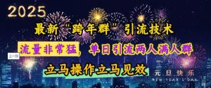 揭秘最新“跨年群”引流策略：单日满人群，快速见效！-小伟资源网