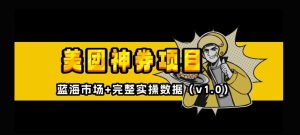 美团神券神会员：外卖券膨胀推广项目入门教程【全网首发，全新蓝海】-小伟资源网