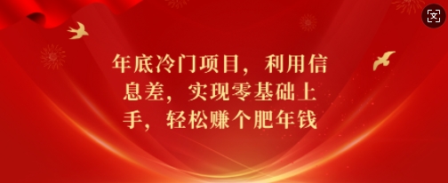 年底冷门项目：零基础轻松上手，利用信息差赚取丰厚年终奖【揭秘】-小伟资源网