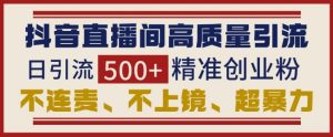 抖音直播间高效引流秘籍：日增500+精准创业粉，无需连麦上镜-小伟资源网