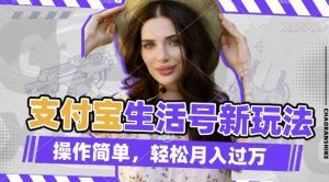 揭秘：如何通过老外荒野求生视频赚取支付宝分成，轻松实现月入过万-小伟资源网