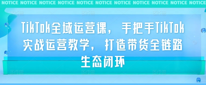 TikTok全域运营实战课：手把手教学打造带货全链路生态闭环-小伟资源网