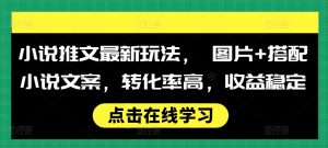 小说推文新策略:图片与文案结合,提升转化率与收益稳定性-小伟资源网