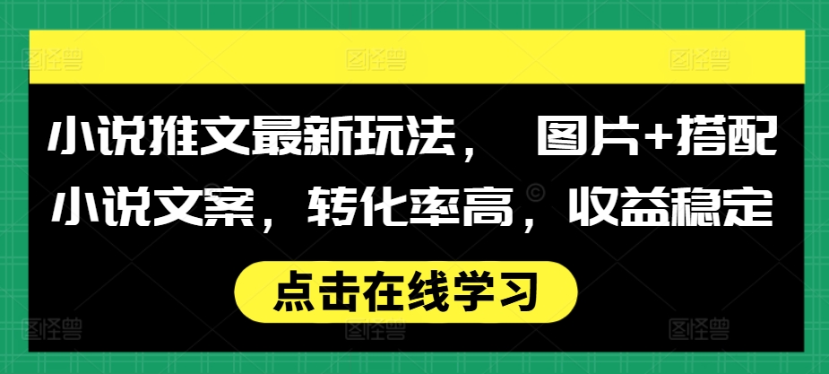 小说推文新策略：图片与文案结合，提升转化率与收益稳定性-小伟资源网