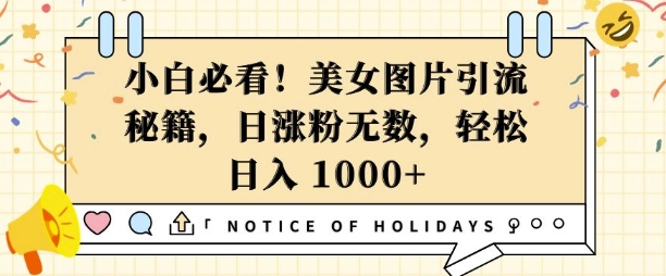 揭秘美女图片引流秘籍：小白必看，日涨粉无数，轻松实现日入几张-小伟资源网