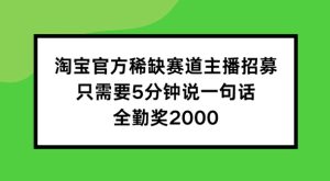 淘宝稀缺赛道主播招募:5分钟一句话,全勤奖2000元等你拿!-小伟资源网