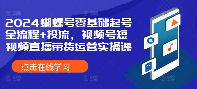 2024蝴蝶号零基础起号与投流全攻略：视频号短视频直播带货运营实操指南-小伟资源网