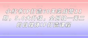 小红书IP打造60天实战营11期：5.0大升级，全网独家自媒体IP课程-小伟资源网