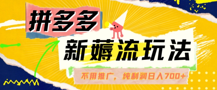 拼多多自然流量玩法揭秘：无需推广，日赚700+，纯利润50+-小伟资源网