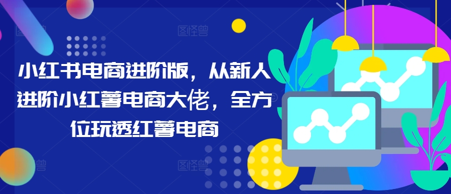 小红书电商进阶指南：从新手到电商大佬，全方位掌握红薯电商运营技巧-小伟资源网