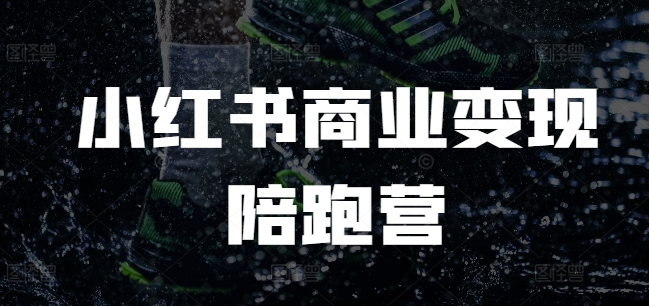 小红书电商变现实战营：从入门到精通的全方位教程-小伟资源网