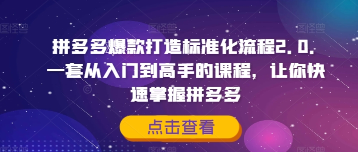 《拼多多爆款打造2.0：从入门到高手的标准化流程全攻略》-小伟资源网