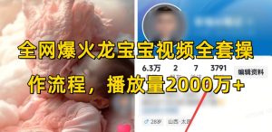 《龙宝宝视频爆火全攻略：2000万+播放量的秘密操作流程》-小伟资源网