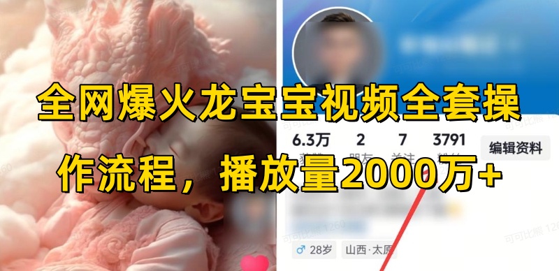 《龙宝宝视频爆火全攻略：2000万+播放量的秘密操作流程》-小伟资源网