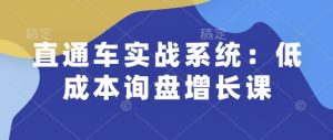 直通车实战系统：低成本询盘增长课，助力个人升职加薪与企业低成本获客-小伟资源网