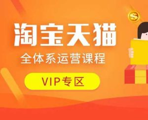 淘宝天猫全体系运营课程：店铺运营、动销策略、付费推广与流量提升技巧-小伟资源网