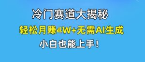 揭秘冷门赛道：小白轻松月赚1W+，无需AI生成，快速上手指南-小伟资源网