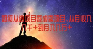 揭秘：从项目执行到项目销售，月收入从几千跃升至几万的策略-小伟资源网
