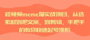 短视频meme猫实战教程:从素材选择到文案剪辑,手把手教你快速涨粉-小伟资源网