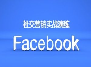 《外贸人必看:Facebook社交营销实战指南,打造高效推广平台》-小伟资源网