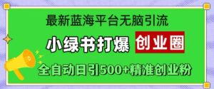 小绿书引爆创业圈:全自动日引500+精准粉,最新蓝海平台无脑引流秘籍-小伟资源网