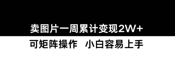 小红书图片变现秘籍：一周轻松赚2W+，新手也能快速上手-小伟资源网
