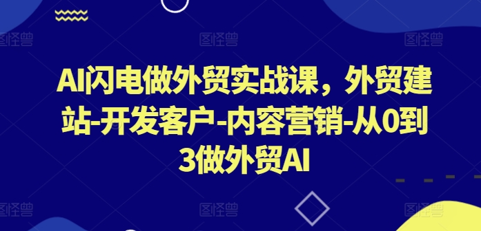 AI外贸实战课：从建站到客户开发，内容营销全攻略（更新版）-小伟资源网