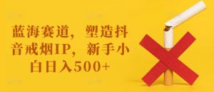 揭秘抖音戒烟IP：新手小白如何在蓝海赛道日入500+-小伟资源网