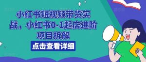 小红书短视频带货全攻略:从0到1起店进阶项目深度解析-小伟资源网