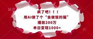 AI创意爆款：会做饭的猫视频播放200万，单日变现1k-小伟资源网