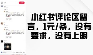 小红书评论区留言1元/条，无要求无上限，轻松赚钱机会-小伟资源网