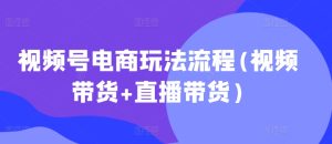 2025年最新视频号电商玩法:视频带货与直播带货全流程解析-小伟资源网