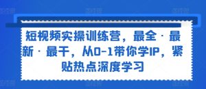 短视频IP打造实战营：从0到1掌握最新热点，深度学习全攻略-小伟资源网