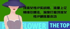 《顶流女性IP实战班：掌握上亿流量情绪引爆技巧，打造硬核基本功》-小伟资源网