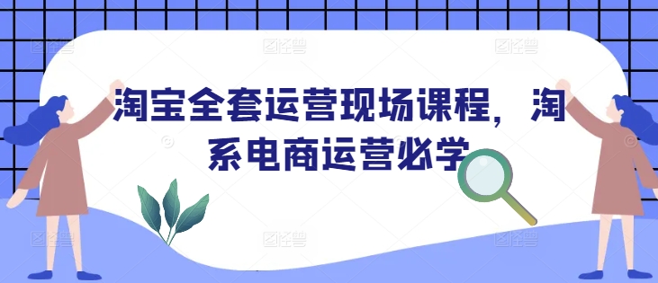 淘宝电商运营实战课程：淘系店铺全方位运营技巧与策略-小伟资源网
