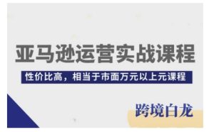 亚马逊运营实战：从入门到精通，高性价比课程，价值超万元-小伟资源网