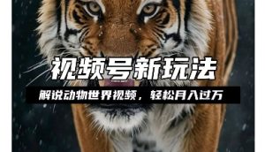 揭秘:如何通过动物世界解说视频轻松月入过万,操作简单收益高-小伟资源网