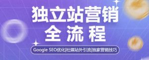 独立站营销全攻略：Google SEO优化与社媒引流技巧-小伟资源网