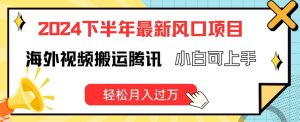 2024下半年海外视频搬运项目揭秘:小白轻松上手,月入过万不是梦-小伟资源网