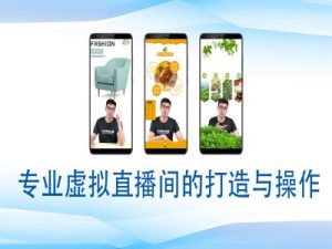 《从零开始：个人与专业虚拟直播间的搭建与操作全攻略》-小伟资源网