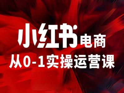 小红书电商运营实战课：从零基础到精英的快速成长指南-小伟资源网