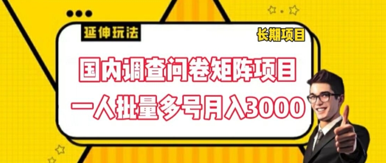 揭秘：国内调查问卷矩阵项目，一人多号操作月入3000元-小伟资源网