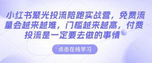 小红书投流实战营：免费流量难获取，付费投流成必备策略-小伟资源网