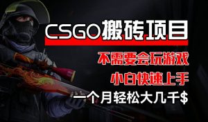 《CSGO装备搬砖项目揭秘:无需游戏经验,小白也能月入数千》-小伟资源网