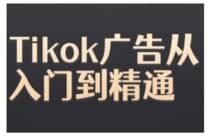 Tiktok广告全攻略：从零基础到精通，手把手教你玩转Tiktok Ads-小伟资源网